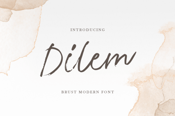Dilem: The Script Font That Makes Your Campaigns Instantly Recognizable