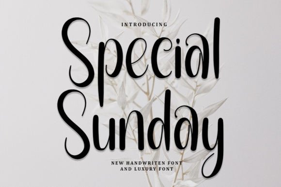 Special Sunday: A Refined Handwritten Font for Real Business Branding